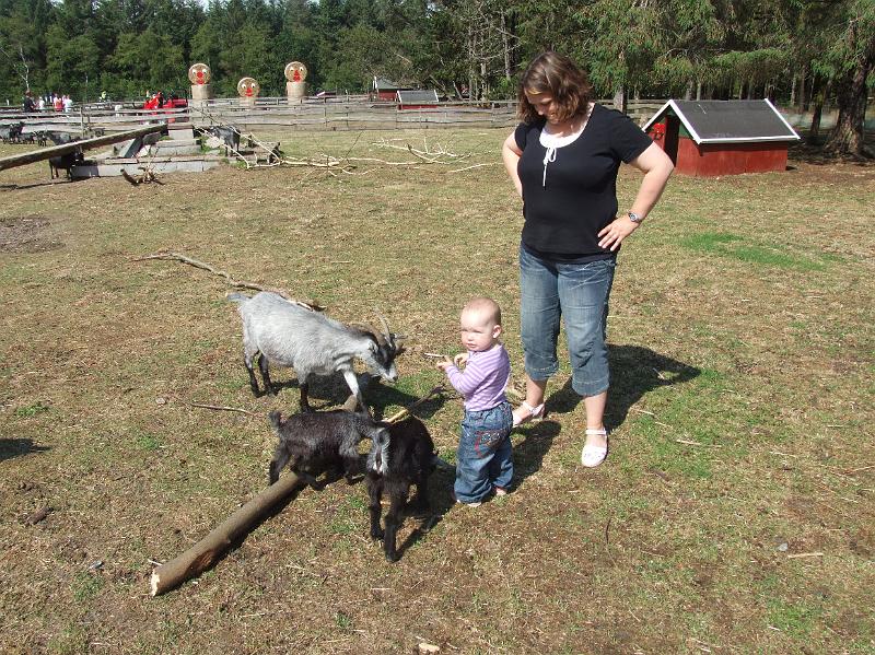 Sofia i  FarmFun 039.jpg